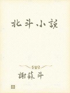 北斗小说