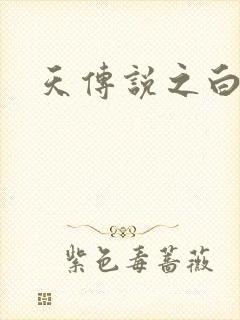 天传说之白蛇传封面