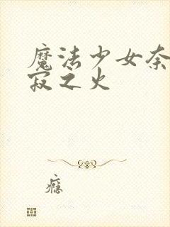 魔法少女奈叶静寂之火