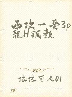 两攻一受3p双龙H调教