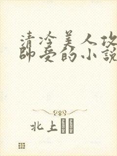 清冷美人攻和痞帅受的小说封面