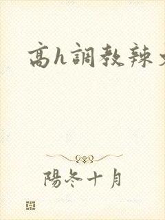 高h调教辣文封面