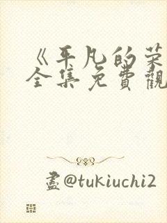 《平凡的荣耀》全集免费观看封面