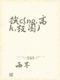 挨c(np,高h,校园)
