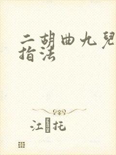 二胡曲九儿简谱指法封面