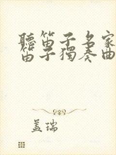 听笛子名家演奏笛子独奏曲集封面