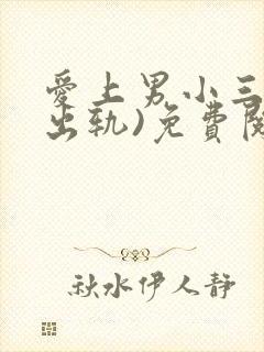 爱上男小三(攻出轨)免费阅读封面