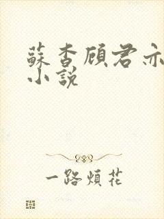 苏杳顾君亦阅读小说封面