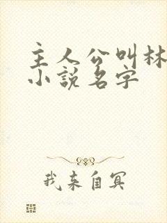 主人公叫林辰的小说名字