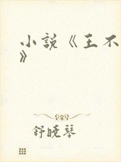 小说《王不见王》