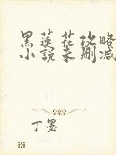 黑莲花攻略手册小说未删减版封面