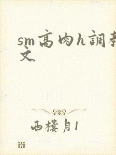 sm高肉h调教文