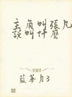 主角叫张凡的小说叫什么封面