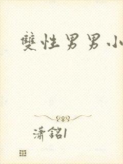 双性男男小说h封面