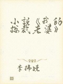 小说《我的冰山总裁老婆》