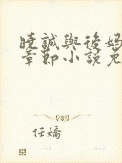 晓诚与后妈全部章节小说免费阅读下