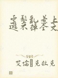 云鬓乱惹上权臣逃不掉全文版封面