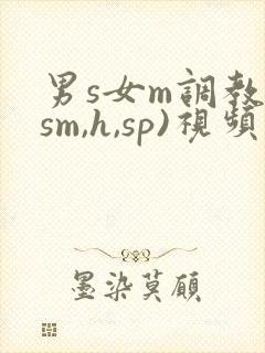 男s女m调教(sm,h,sp)视频