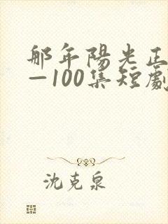 那年阳光正好1—100集短剧免费观看封面
