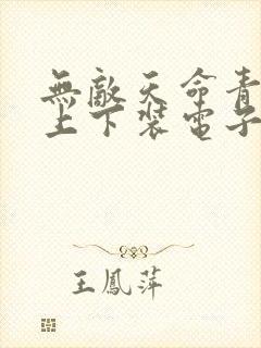 无敌天命青鸾峰上下装电子书