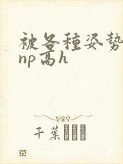 被各种姿势玩弄np高h