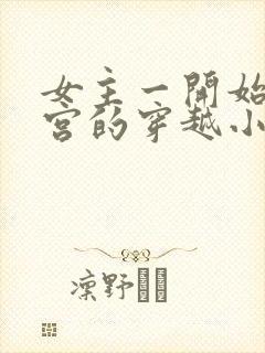 女主一开始在冷宫的穿越小说封面