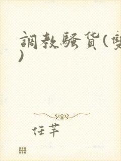 调教骚货(双性)