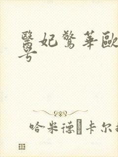 医妃惊华欧阳华兮