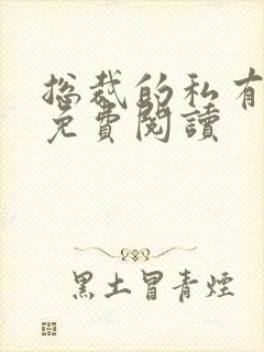 总裁的私有宝贝免费阅读