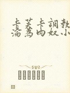 卡芙卡调教喷水沦为肉奴小说封面