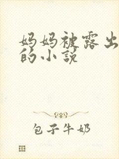 妈妈被露出调教的小说封面