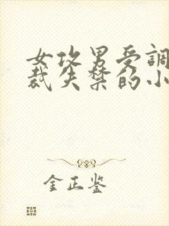 女攻男受调教总裁失禁的小说封面