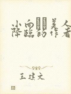 小向まな美人妻降临的作者