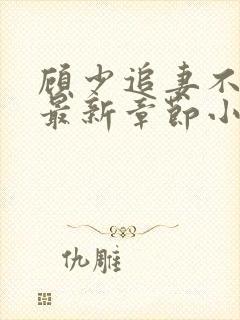 顾少追妻不要脸最新章节小说免费阅读