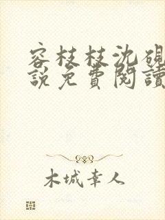 容枝枝沈砚书小说免费阅读无弹窗