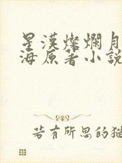 星汉灿烂月升沧海原著小说免费阅读封面
