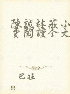 陈诚林薇小说免费阅读全文最新章节