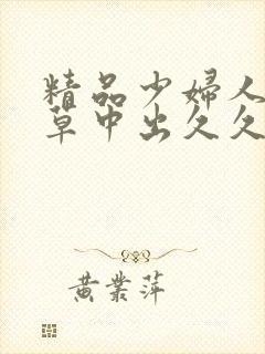 精品少妇人妻嫩草中出久久