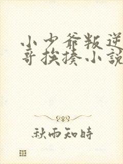 小少爷叛逆被大哥挨揍小说