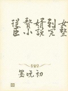 从赘婿到女帝宠臣小说完整版封面