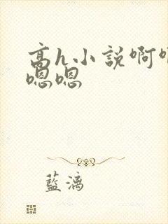 高h小说啊啊啊嗯嗯