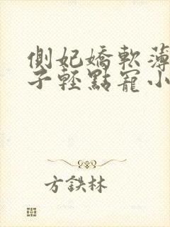 侧妃娇软薄情太子轻点宠小说封面