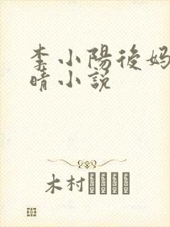 李小阳后妈陈雅晴小说