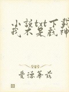 小说txt下载我不是戏神封面