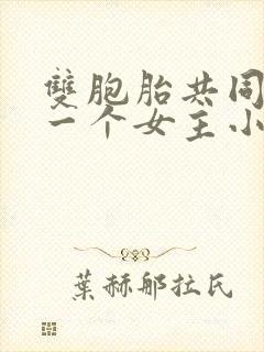 双胞胎共同享有一个女主小说