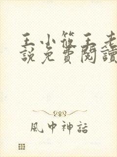 王小筱王老王小说免费阅读最新章节