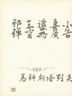 邪王追妻小说无弹窗无广告