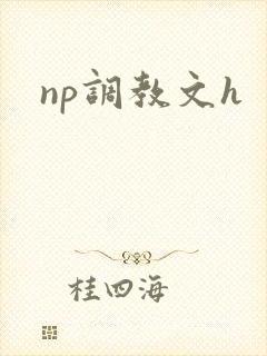 np调教文h