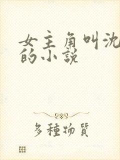 女主角叫沈青岚的小说