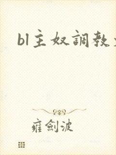 bl主奴调教文封面
